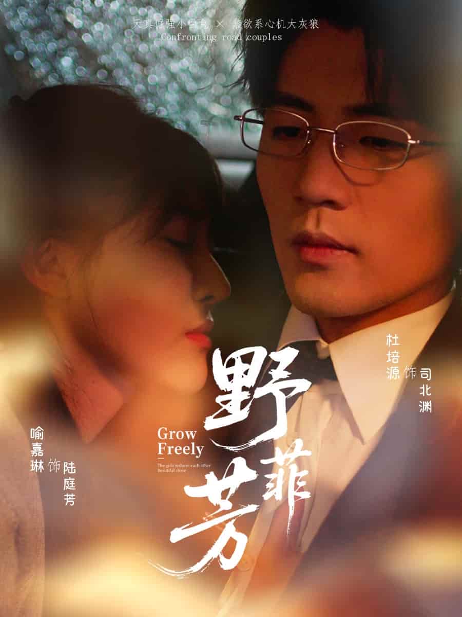野芳菲